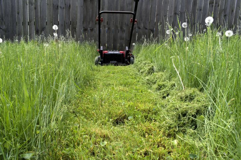 Lawn Restoration Equipment