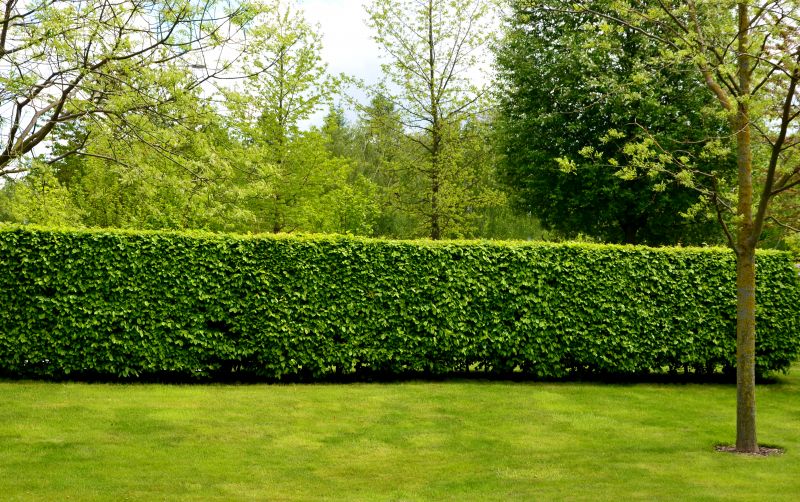 Healthy Hedge Growth