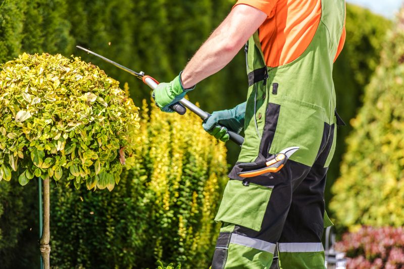 Hedge Shaping Service